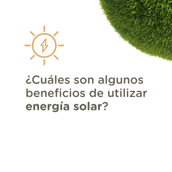 Termotanque solar No presurizado Premium - Imagen 5