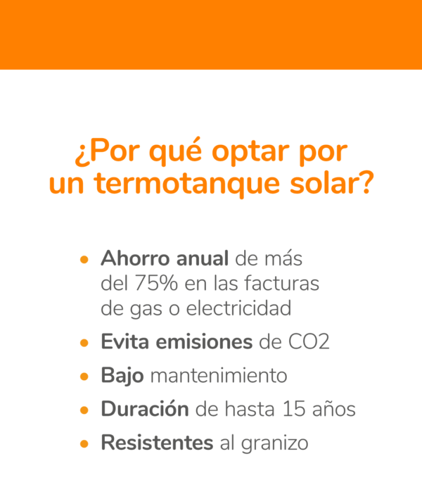 Termotanque solar No presurizado Premium - Imagen 2